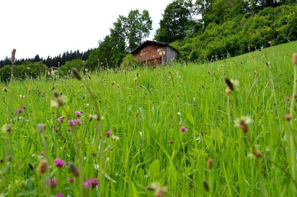 Chalets & Apartments Wachterhof Kaltenbach Kültér fotó